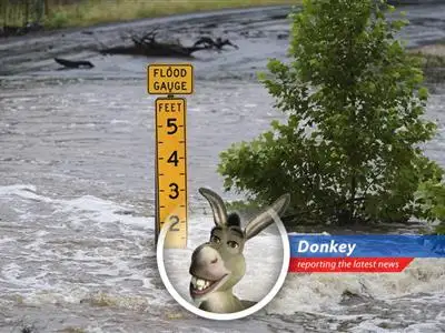 A disastrous flood in Texas Hill Country leaves a trail of devastation, missing children, and questions about preparedness. It's like a swamp, but with more water and less ogre! image