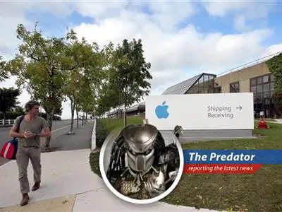 A look at how U.S. multinationals are using Ireland's tax laws to stash intellectual property and reduce their tax bills, much to the chagrin of some U.S. officials. image