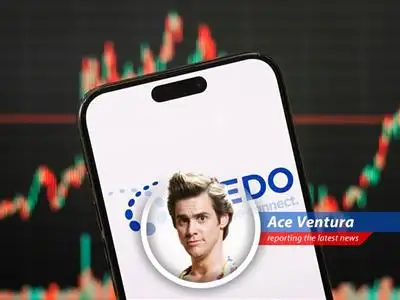 Ace Ventura dives into the AI boom with a look at Credo Technology, a high-speed connectivity company, analyzing its potential for HUGE growth. SHIKAKA! image