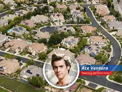 Ace Ventura investigates the mystery of the missing affordable homes, finding a market more unbalanced than a tutu-wearing rhino! image