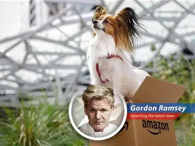 Amazon partners with Vetsource to deliver pet prescriptions online, challenging Chewy and Walmart in the booming pet medication market. image