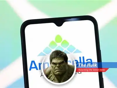 Ambarella, tiny chip company, maybe get bought! Hulk analyze, then maybe smash! image
