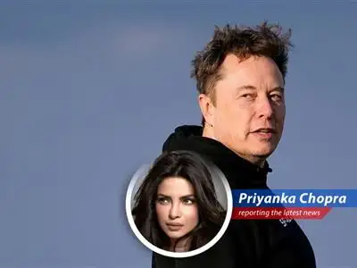 Amidst a truce between Elon Musk and Donald Trump, Tesla's stock rebounds and robotaxi dreams inch closer to reality, possibly by Elon's birthday! image