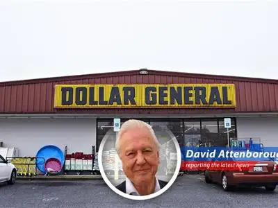 Amidst tariff turmoil and economic uncertainty, Dollar General emerges as a surprisingly resilient species, thriving under the shadow of giants like Walmart. image