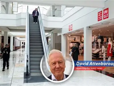 Consumer confidence plummets to a five-year low, sparking recession fears amid tariff anxieties and dwindling job prospects. image