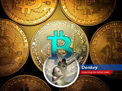 Donkey breaks down Bitcoin's record-breaking surge, complete with macro cauldrons, stablecoins, and maybe even a dragon's hoard! image