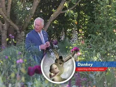 Donkey reports from the posh Chelsea Flower Show, where CEOs and politicians mingle amongst the roses, discussing taxes, tariffs, and surprisingly good business! image