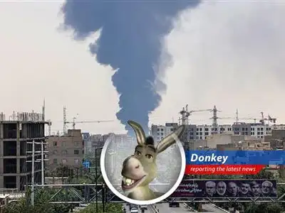 Donkey reports on the topsy-turvy oil market after Trump hints at talks with Iran amidst rising tensions and Israeli airstrikes – is it time to stock up on swamp gas? image