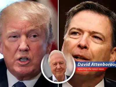 Former President Trump interprets ex-FBI Director Comey's beachside Instagram post featuring the numbers '8647' as a veiled threat, sparking controversy and debate over free speech. image