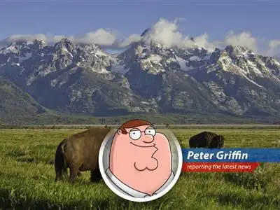 Hey Lois, this Juneteenth, the government's giving away free trips to National Parks! Let's pack the car, grab some Pawtucket Patriot Ale, and maybe skip Meg... image