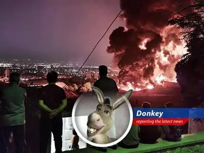 Israel and Iran are at it again, folks! Missiles flying, deals breaking down, and Donkey's got a front-row seat to this fiery feud. Hold on to your waffles! image