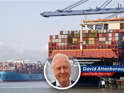 Major European firms brace for impact as President Trump's tariffs cast a shadow over first-quarter earnings, creating uncertainty and potential financial hits. image