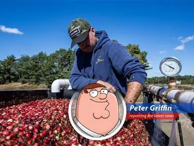 Peter Griffin reports on how Trump's tariffs are making American farmers sing the blues, with cancelled orders, layoffs, and enough pork to make Brian blush. image