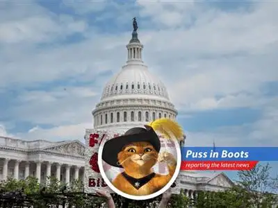Puss in Boots investigates the House reconciliation bill and its potential impact on families, revealing tax credit changes, food assistance cuts, and health coverage risks. image