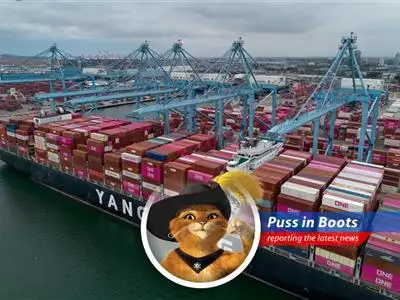 Reduced tariffs spark hope, but uncertainty looms as businesses brace for a potential surge in trade from China and navigate the choppy waters of fluctuating costs and unpredictable policies. image
