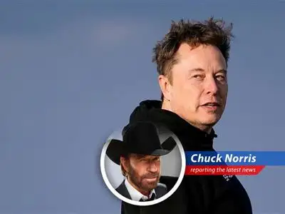 Reports suggest Tesla is seeking a successor to Elon Musk after sales and profits plummet, proving even electric cars can't outrun Chuck Norris. image