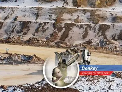 Shrek's sidekick reports on the U.S.-Ukraine minerals agreement: a tale of resources, reconstruction, and maybe, just maybe, world peace (and waffles!). image