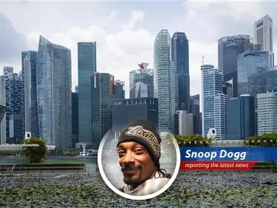 Singapore slaps major fines on banks and financial institutions for their role in a massive money laundering scheme. Doggfather weighs in on the drama, fo shizzle! image