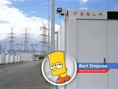 Tesla's first grid-scale battery plant in China aims to balance power supply and demand, even with those wacky solar and wind thingies. image