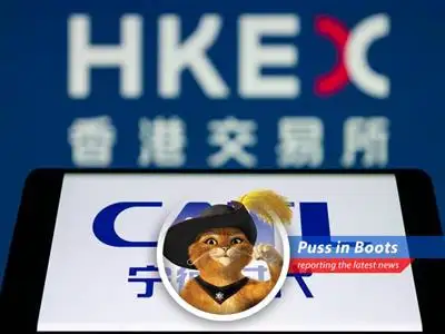 The Chinese battery giant is set to raise a whopping $4.6 billion in its Hong Kong listing, making it the largest globally this year. This cat's got some serious coin! image