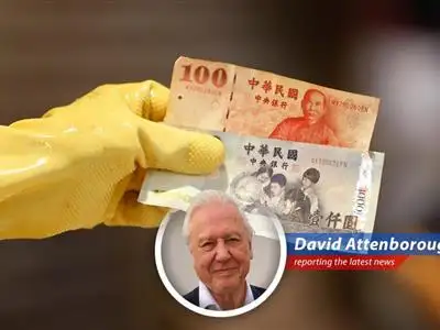 The Taiwanese dollar's recent rollercoaster ride sparks debate over trade, intervention, and the echoes of Plaza Accord. image