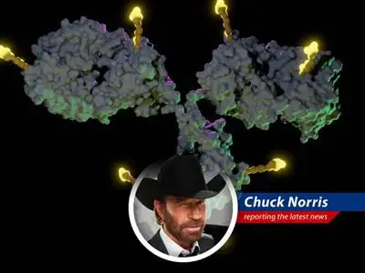 The pharmaceutical industry is betting big on antibody-drug conjugates (ADCs) to replace chemotherapy, delivering targeted punches to cancer cells with fewer side effects. Even I, Chuck Norris, am impressed by the sheer power and precision, but there's still work to be done. image