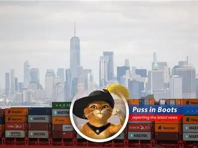 The tale of how tariffs and trade wars are turning the dreams of dropshippers into a cat-tastrophe, and whether there's still a whisker of hope left. image