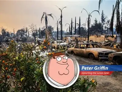 Turns out those California wildfires cost European insurance companies a boatload of clams, way more than anyone expected. Looks like I'm not the only one who makes bad financial decisions! image